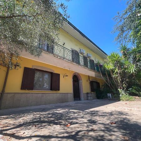 Agriturismo Al Gallo Verde Altavilla Silentina Exterior photo